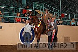 09yn-16210 proof