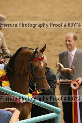 Proof 09yn-16214