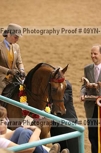 Proof 09yn-16215