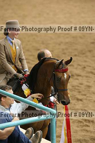 Proof 09yn-16219