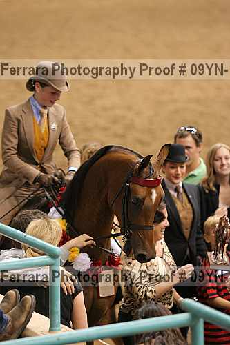 Proof 09yn-16223