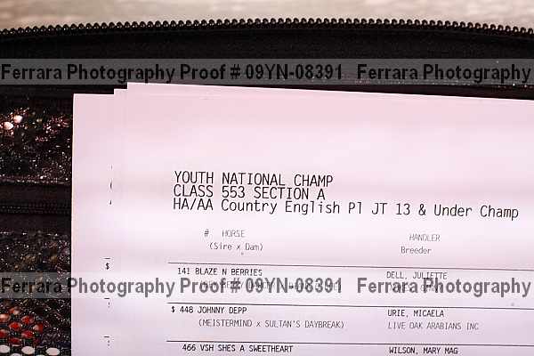 Proof 09yn-08391