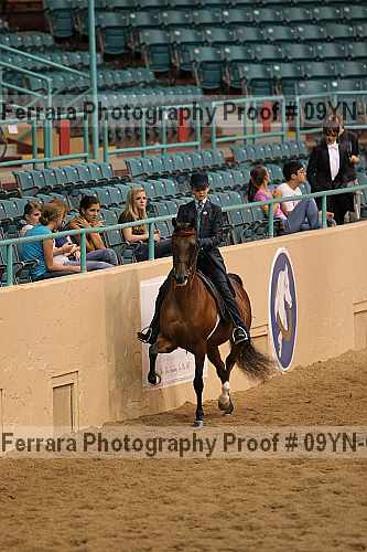 Proof 09yn-08398