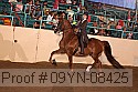 09yn-08425 proof