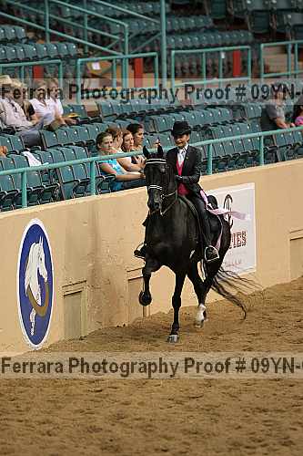 Proof 09yn-08452
