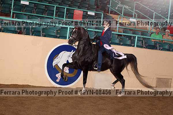 Proof 09yn-08456