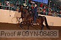 09yn-08488 proof