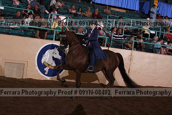 Proof 09yn-08492