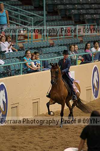 Proof 09yn-08495
