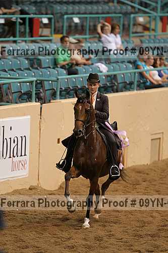 Proof 09yn-08496