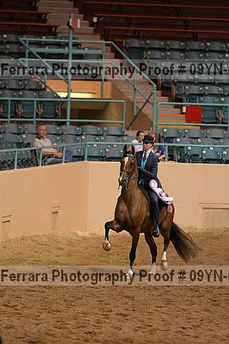 Proof 09yn-08497