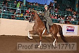 09yn-17717 proof