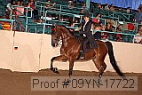 09yn-17722 proof