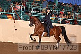 09yn-17723 proof