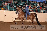 09yn-17724 proof