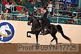 09yn-17725 proof