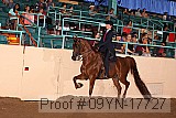 09yn-17727 proof