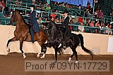09yn-17729 proof