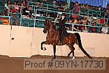 09yn-17730 proof