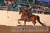09yn-17731 proof