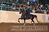 09yn-17732 proof