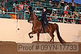 09yn-17733 proof