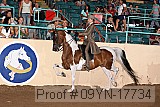 09yn-17734 proof