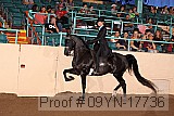 09yn-17736 proof