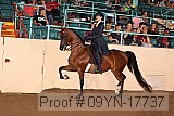 09yn-17737 proof