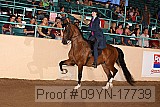09yn-17739 proof