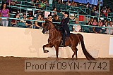 09yn-17742 proof