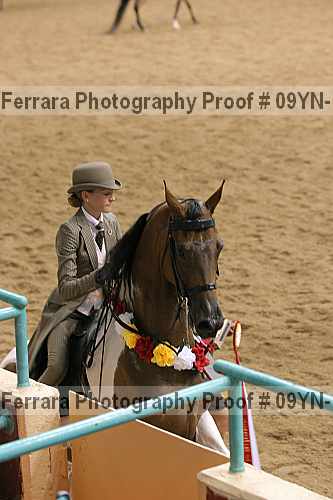 Proof 09yn-17754