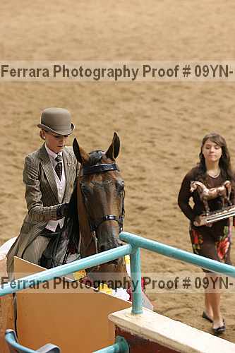 Proof 09yn-17755