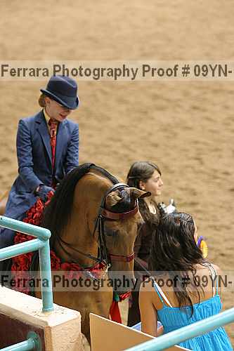 Proof 09yn-17785