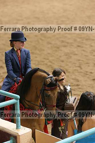 Proof 09yn-17786