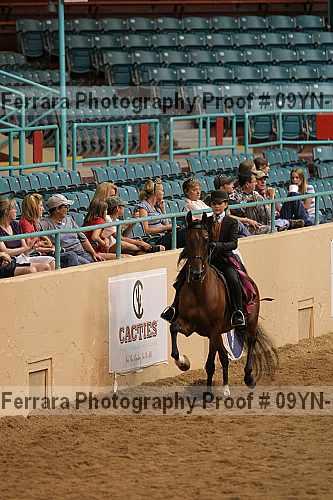Proof 09yn-17791