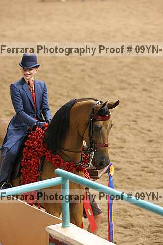 Proof 09yn-17792