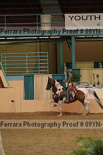 Proof 09yn-17806