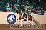 09yn-17829 proof