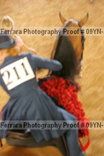 Proof 09yn-17833