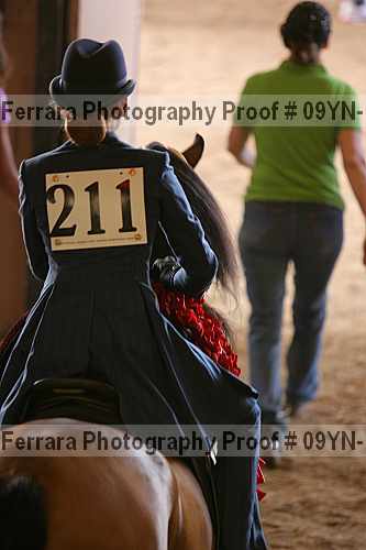 Proof 09yn-17838