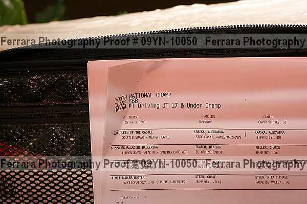 Proof 09yn-10050