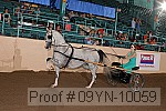 09yn-10059 proof