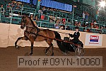 09yn-10060 proof