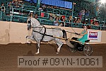09yn-10061 proof