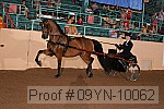 09yn-10062 proof