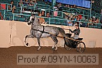 09yn-10063 proof