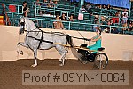 09yn-10064 proof