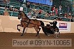09yn-10065 proof