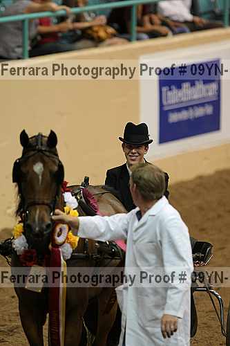 Proof 09yn-10071